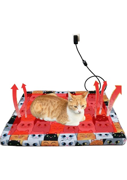 Kedi Köpek Yatağı