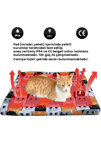 Kedi Köpek Yatağı fiyatları