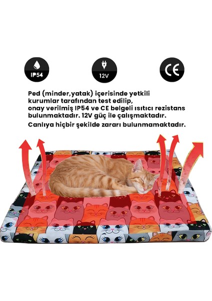 Kedi Yatağı Istııcılı