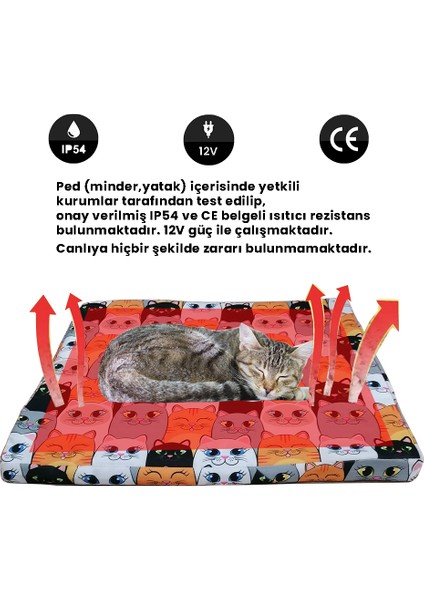 Evcil Hayvan Yatağı fiyatları