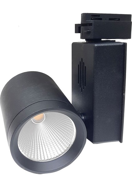 Mimar Led Yandan Kutulu Philips Ledli 30W Siyah Monofaze Ray Spot