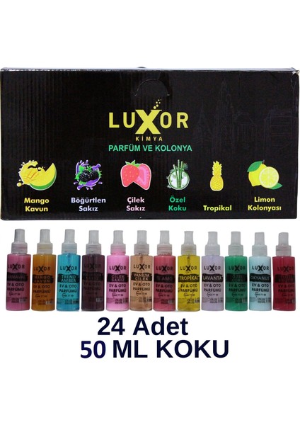 24 Adet 50 ml Ev & Oto Koku Seti Özel Kutulu