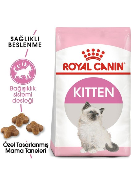 Kitten Yavru Kedi Maması 10KG
