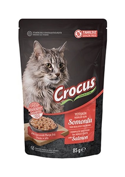 Tahılsız Pouch Jöleli Somonlu Yavru Konserve Kedi Maması 85 Gr