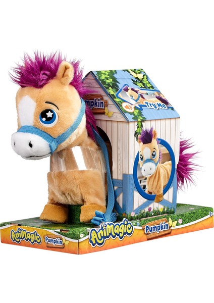 Pony - Pumpkin