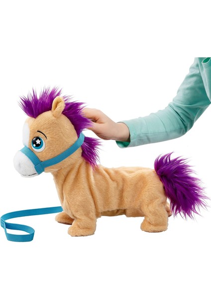 Pony - Pumpkin modelleri