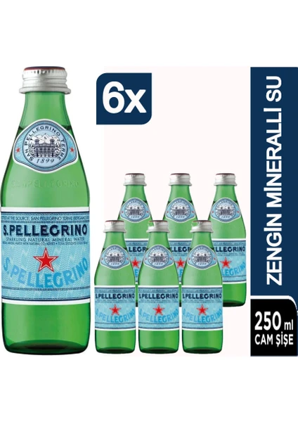 San Pellegrino Mineralli Su Doğal 250 ml x 6 Adet