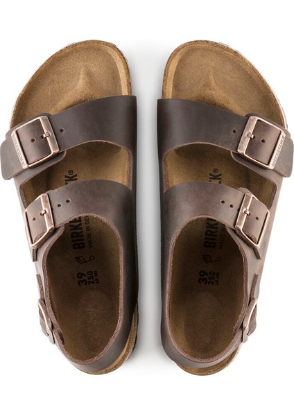 Mılano Leoı fiyatları