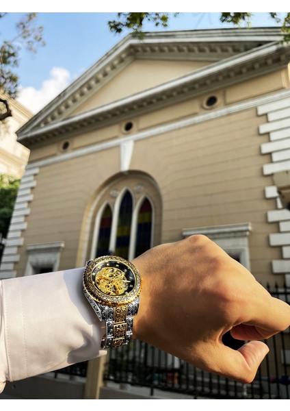 GMT1213-6 Forsining Mekanik Erkek Saat Erkekler Kol Saati Lüks Elmas Paslanmaz Çelik Otomatik Saatler Altın Relogio Masculino (Yurt Dışından) indirimleri