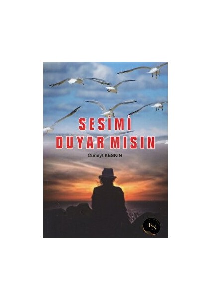 Sesimi Duyar Mısın - Cüneyt Keskin