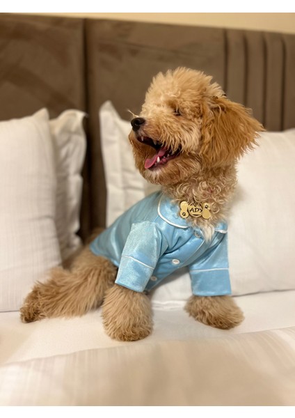 Köpek Pijamasi Köpek Kıyafeti