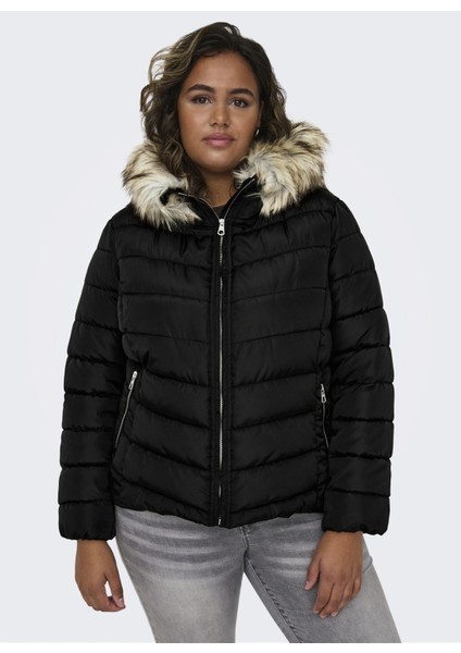 Siyah Kadın Mont Carnew Ellan Quılted Hood Jacket Ot indirimleri
