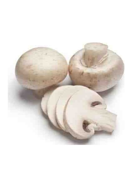 1 gr Beyaz Şapkalı Kültür Mantarı Tohumu modelleri