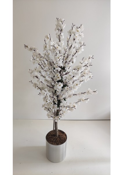 150 cm Beyaz Bahardalı Ağacı