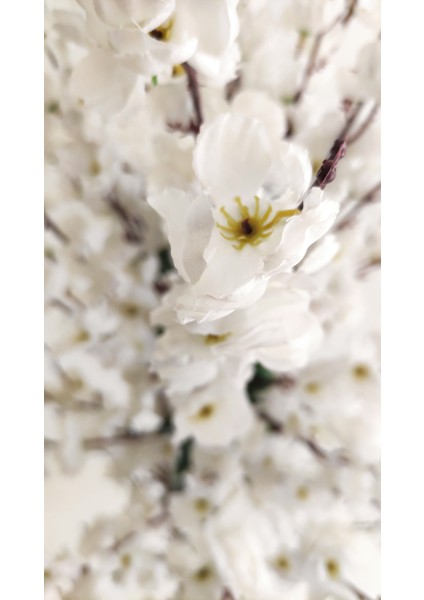 150 cm Beyaz Bahardalı Ağacı fırsatları