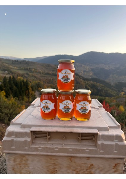 Bal Düşkünü Mini Yayla Balı 1940 gr