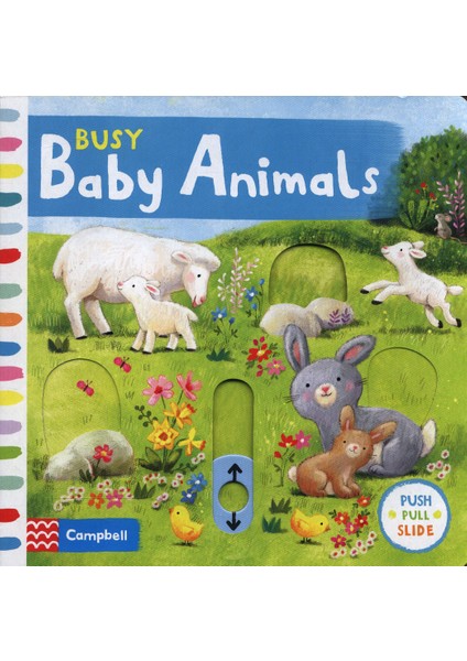 Busy Baby Animals - Ag Jatkowska