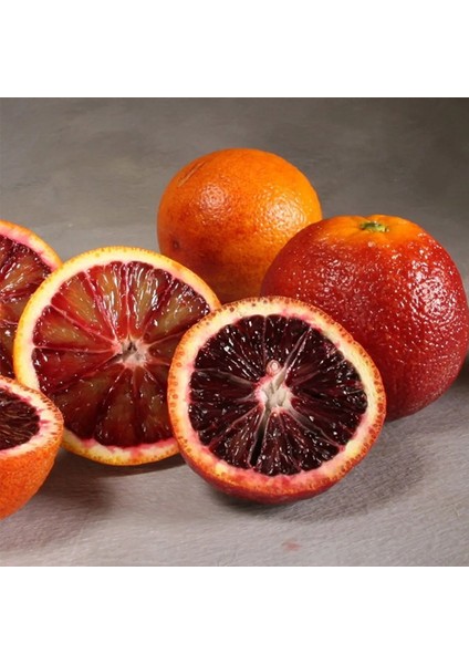 Doğan Fidancılık Bodur Tipte Yemesi Mükemmel Içi Dışı Kırmızı Blood Orange Red Kan Portakalı Fidanı