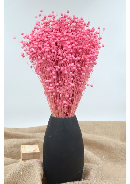 Kurutulmuş Keten Otu (Luna Otu) Pembe