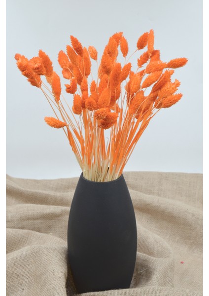 Kurutulmuş Kuş Otu (Palaris Çiçeği) Turuncu 50 Dal