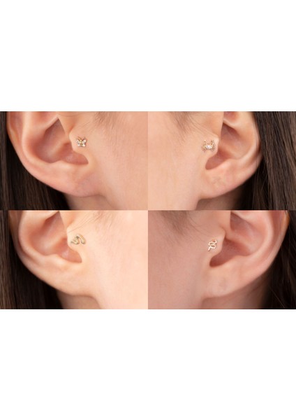 Yengeç Tragus Piercing Kıkırdak 14 Ayar Altın