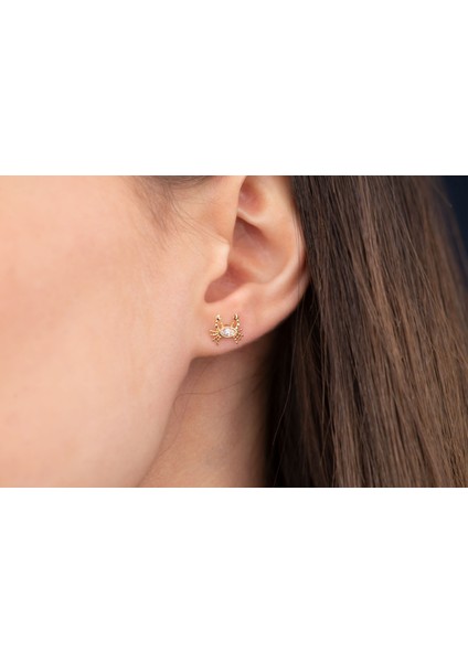 Yengeç Tragus Piercing Kıkırdak 14 Ayar Altın