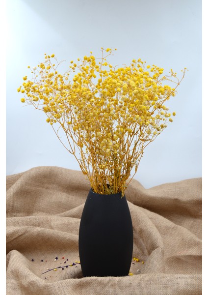 Şoklanmış Cipso 1.kalite Sarı 22GR