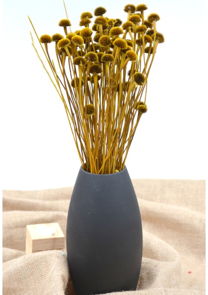 Kurutulmuş Papatya Otu Naturel