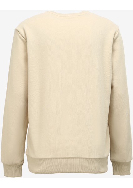 Bej Erkek Bisiklet Yaka Sweatshirt D3WM-SWT25 fiyatları