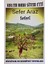 Kalem Bana Sitem Etti - Sefer Araz 1