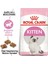 Kitten Yavru Kedi Maması 10KG 2