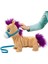 Pony - Pumpkin 3