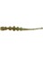 Tipsy Worm 5,8cm Silikon Yem 1