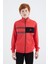 Fiesta Dik Yaka Erkek Çocuk Sweatshirt - 11183 3