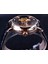 Beyaz Altın Forsining Moda Lüks Aydınlık Eller Gül Altın Erkek Saatler Üst Marka Tourbillion Elmas Ekran Otomatik Mekanik Saat (Yurt Dışından) 5