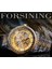 GMT1213-4 Forsining Lüks Erkekler Otomatik Mekanik Kol Saati Su Geçirmez Paslanmaz Çelik Elmas Izle Altın Erkek Saat Vintage Reloj (Yurt Dışından) 3