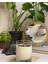 Coffee Candle 3