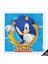 Sonic Peçete, 33CM x 33CM - 16 Adet 1
