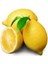 Zagara Bianca Limon 2 Yaş Tüplü 90-120CM 3