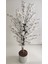 150 cm Beyaz Bahardalı Ağacı 3