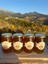 Bal Düşkünü Mini Yayla Balı 1940 gr 3