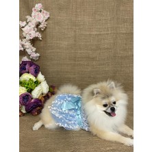 Maria Pet Fashion Köpek & Kedi Kıyafeti