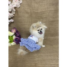 Maria Pet Fashion Köpek & Kedi Kıyafeti