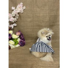 Maria Pet Fashion Köpek & Kedi Kıyafeti