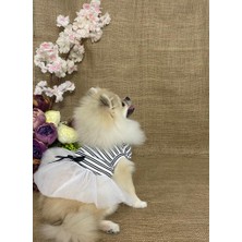 Maria Pet Fashion Köpek & Kedi Kıyafeti