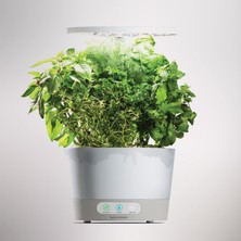 Aero Garden Aerogarden Harvest 360 Kapalı Bahçe Topraksız - LED Büyüme Işığı - Beyaz