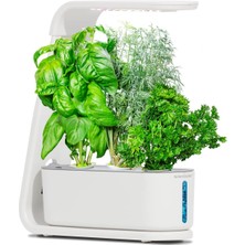 Aero Garden Aerogarden Topraksız Kapalı Bahçe, Filiz ve Gurme Otlar Tohum Kiti - Beyaz