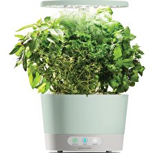 Aero Garden Aerogarden Harvest 360 Kapalı Bahçe Topraksız - LED Büyüme Işığı