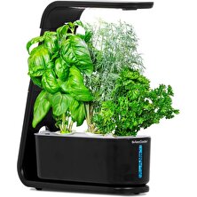 Aero Garden Aerogarden Topraksız Kapalı Bahçe, Filiz ve Gurme Otlar Tohum Kiti - Siyah