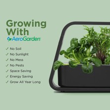 Aero Garden Aerogarden Topraksız Kapalı Bahçe, Filiz ve Gurme Otlar Tohum Kiti - Siyah